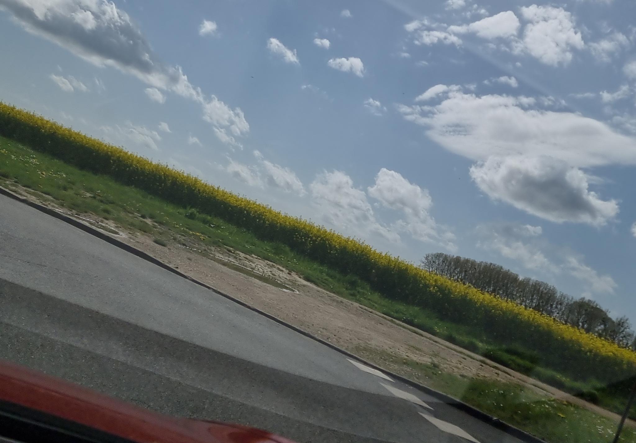 Vue de EHPAD les Chenes Verts