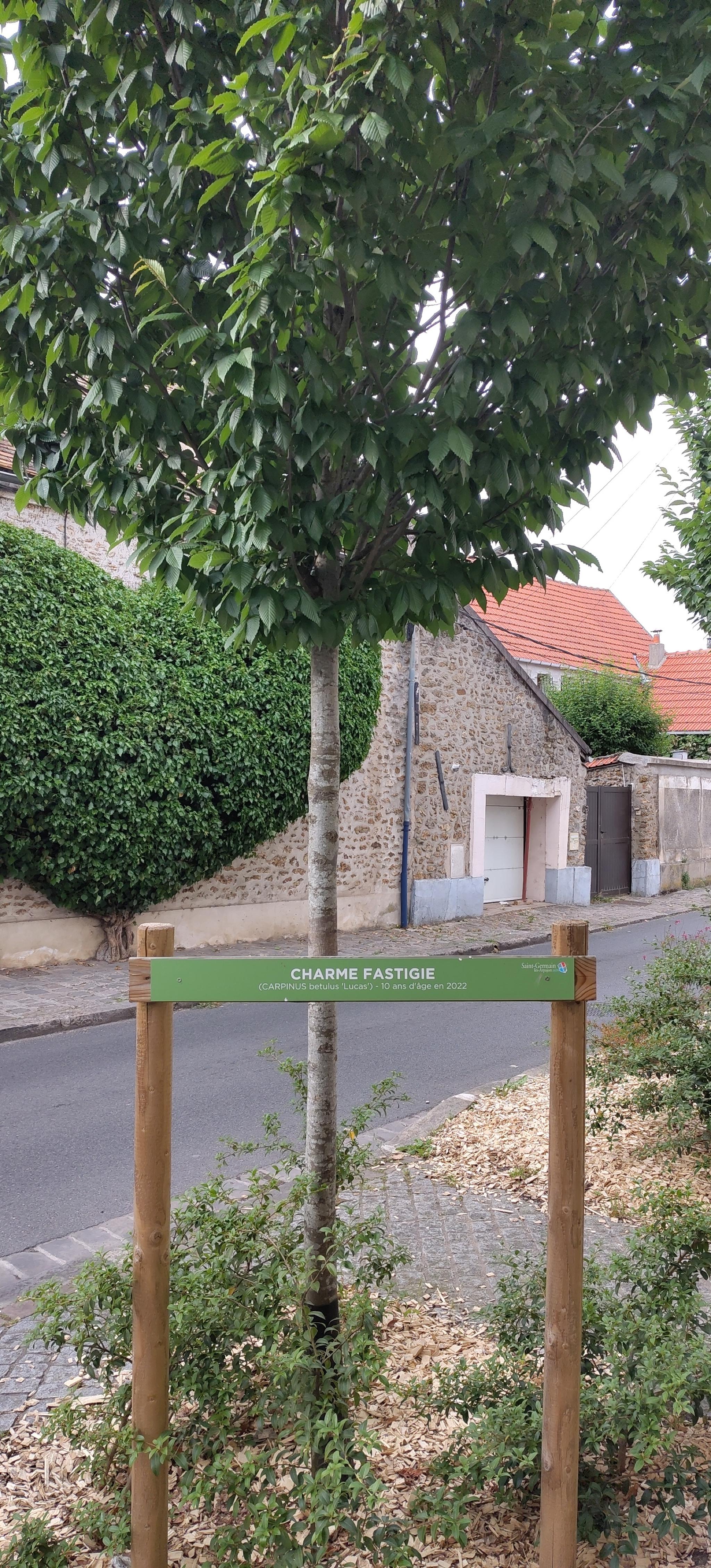Vue de EHPAD Residence de L' Orge