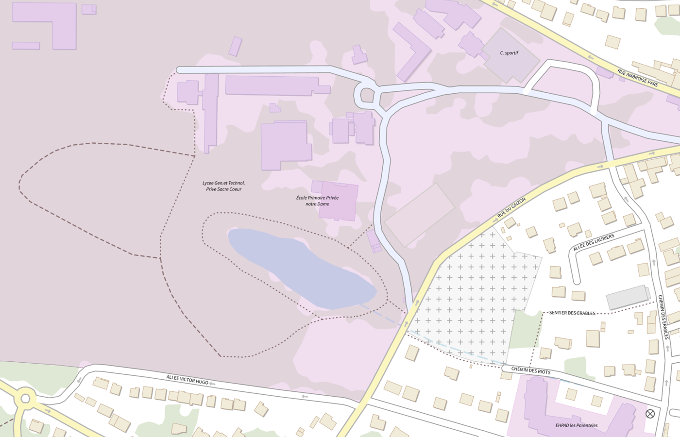 Plan IGN de situation de Collège Sacré-Coeur