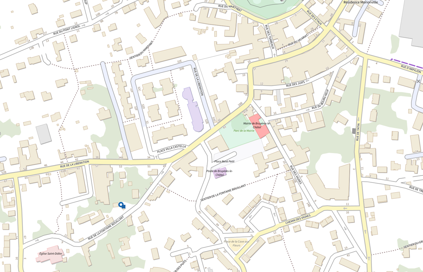 Plan IGN de situation de Selas Pharmacie de la Bruyere