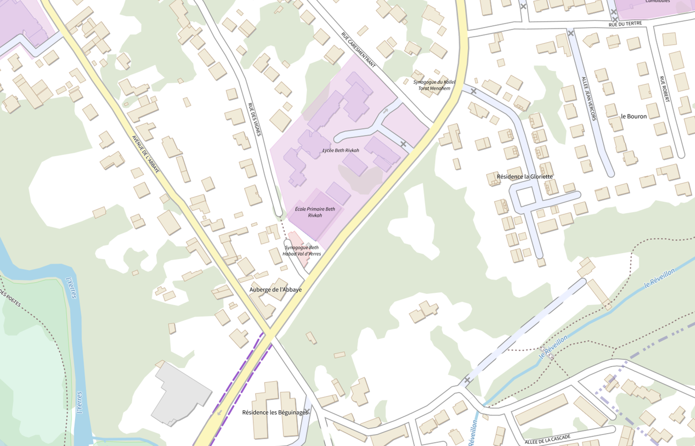 Plan IGN de situation de Lycée Beth Rivkah