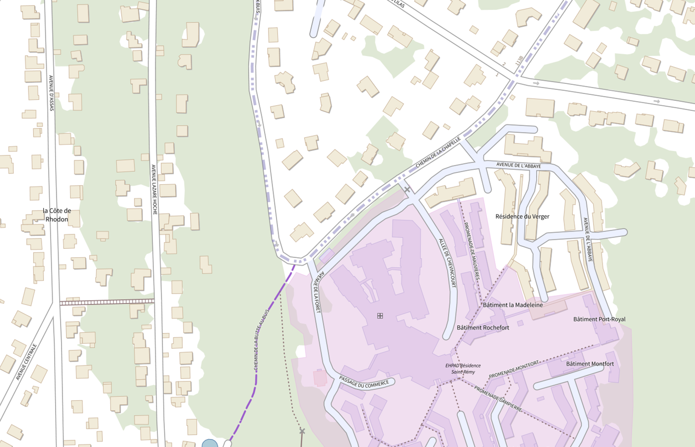 Plan IGN de situation de Clinique Saint Remy